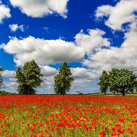 An Den Salzwiesen * ボルテンハーゲン