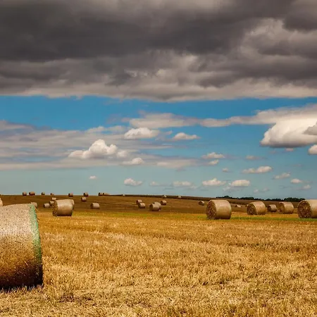 An Den Salzwiesen アパート *