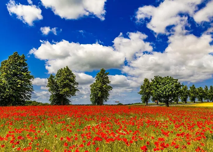 An Den Salzwiesen * Boltenhagen (Ostseebad)