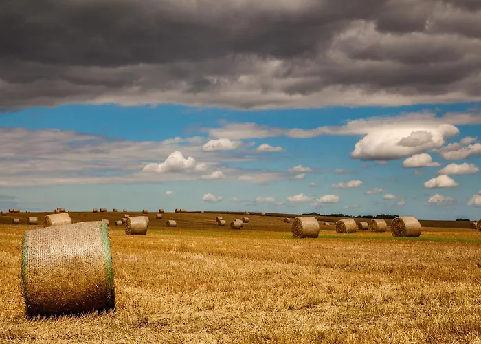 An Den Salzwiesen Daire *