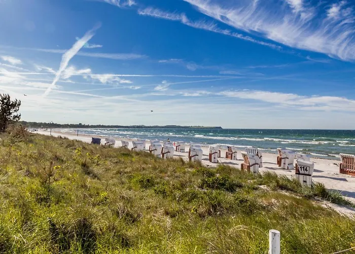 An Den Salzwiesen * بولتينهاجين